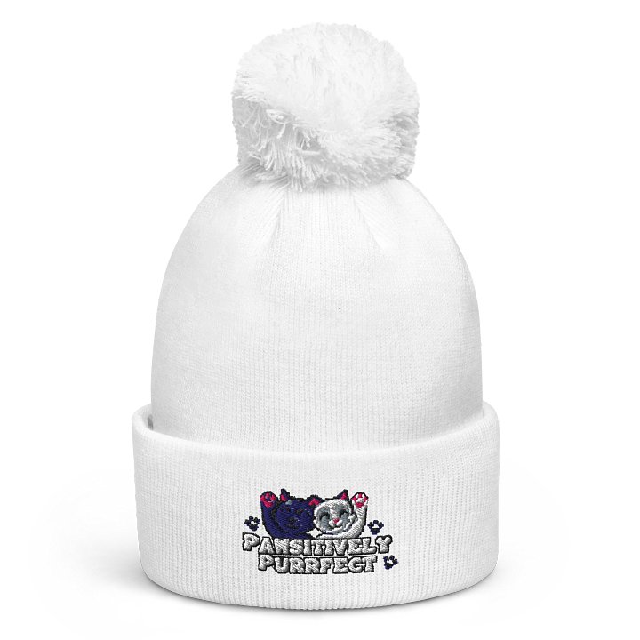 Pawsitively Purrfect Beanie product image (6)