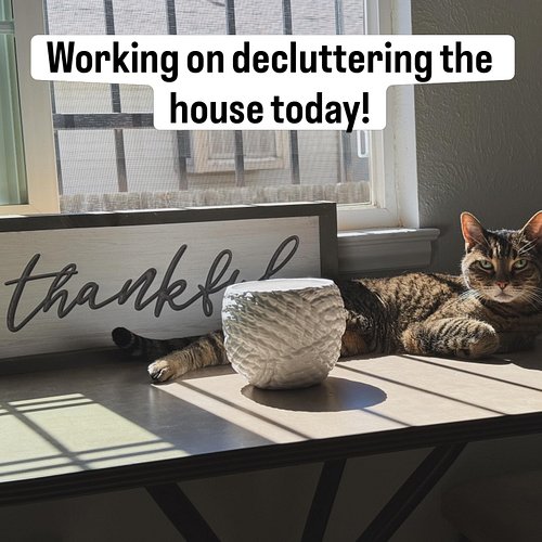 Decluttering the house today. 

Trying to get back to the simple rule that everything has a home, and if it doesn’t have a ho...