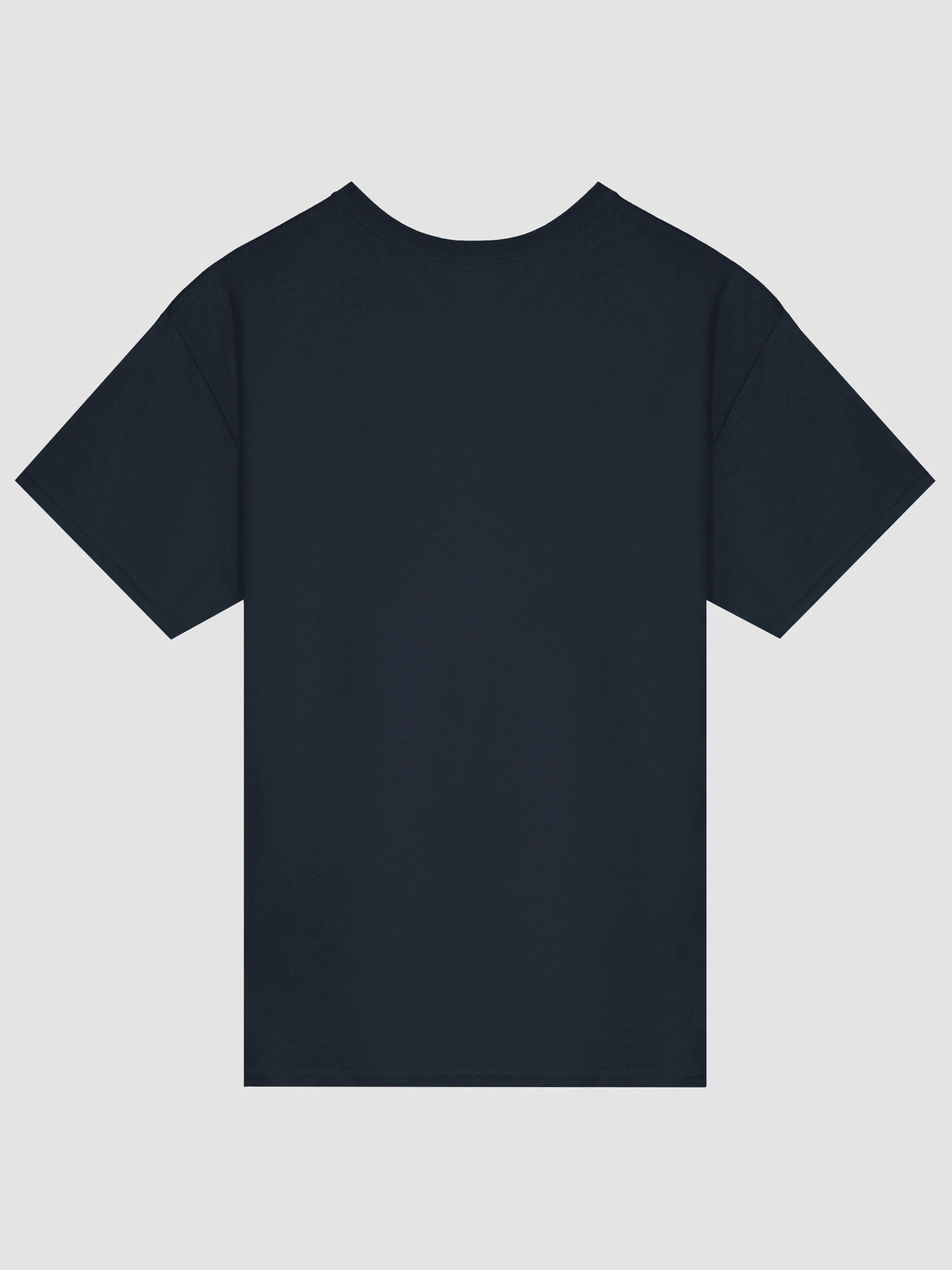 Shipwrecks and Sea Dogs Reverse Logo T-Shirt product image (26)