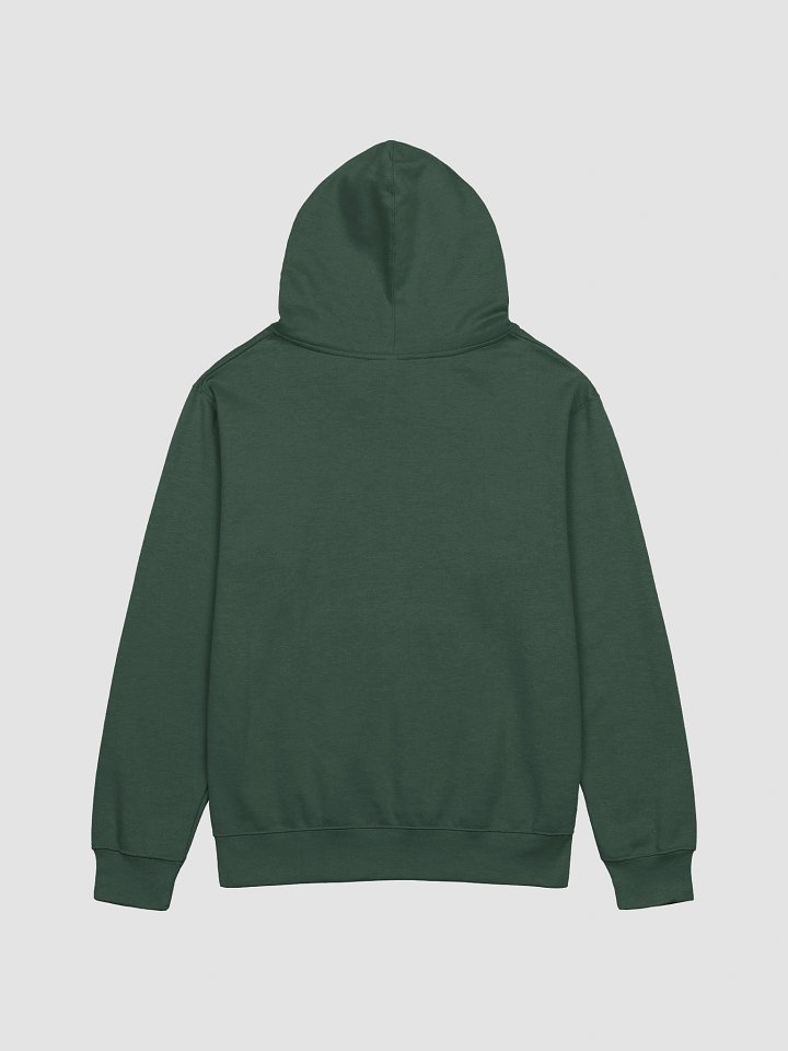 UFO Ultraconservative Family Oriented Hoodie product image (2)
