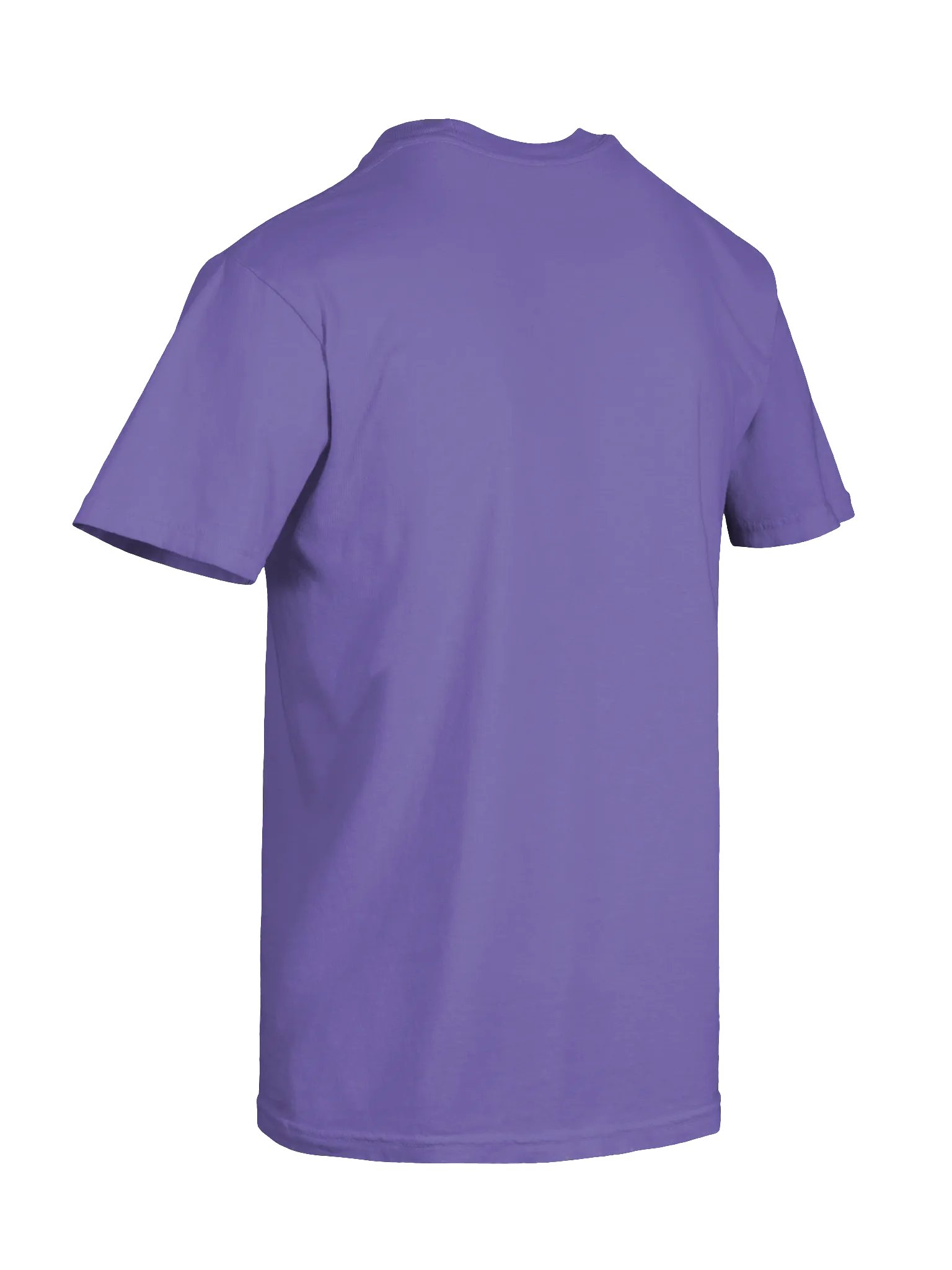 Red "Year of the Bird" T-Shirt product image (109)