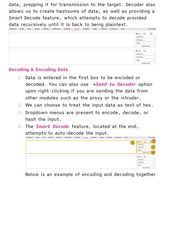 HackTheBox Certified Web Exploitation Specialist (HTB CWES) Study Notes & Guide (Unofficial) product image (3)