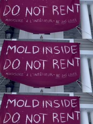 A final update before I maybe disappear for a little while 😬 There’s a 🔗 in my bio to help airlift us to safety.  Thank you for all the support and advice!!! And happy holidays! #storytime #housingcrisis #landlordsfromhell 