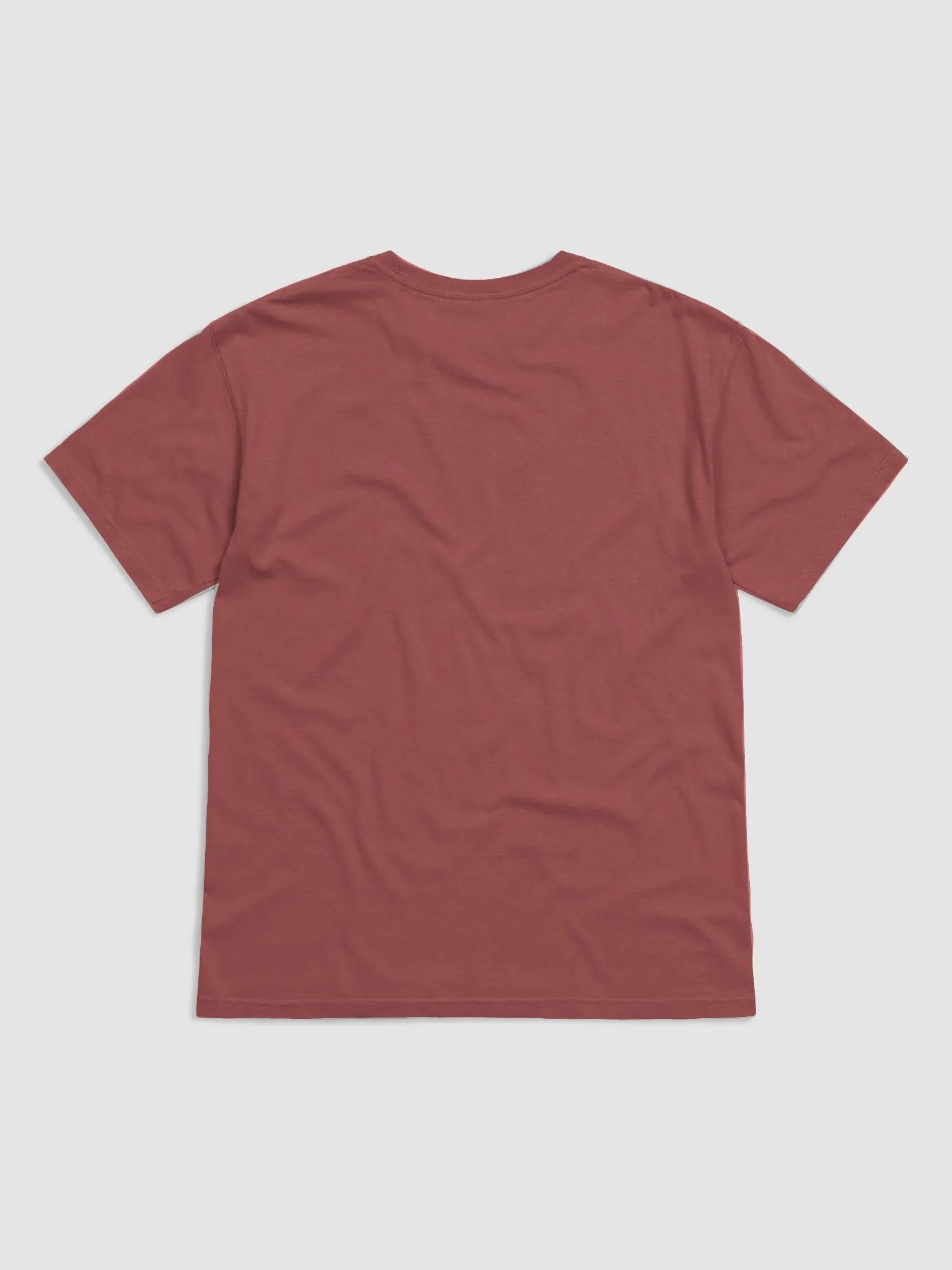 Aggies T-Shirt on Brick product image (2)