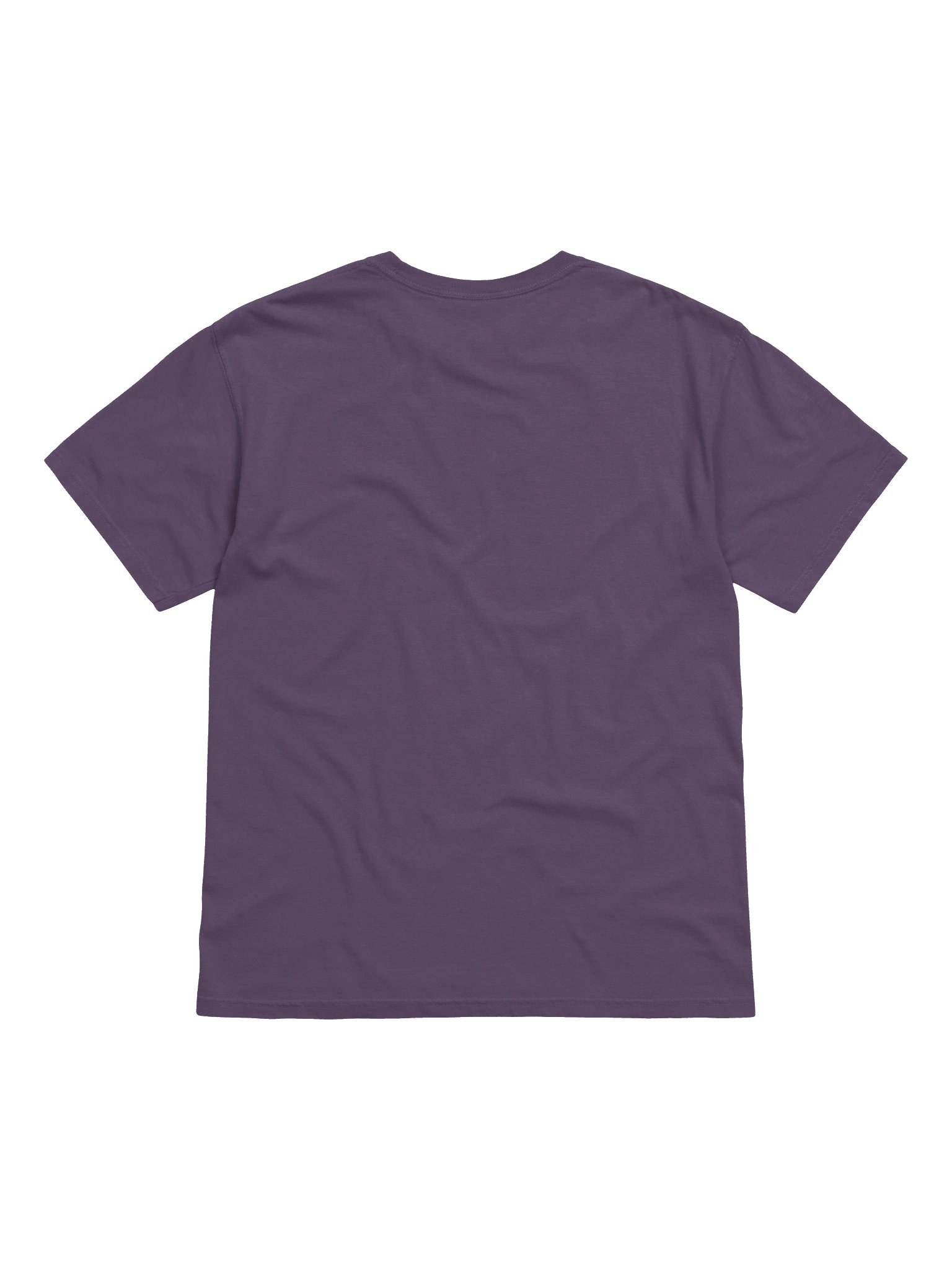 salatro product image (2)