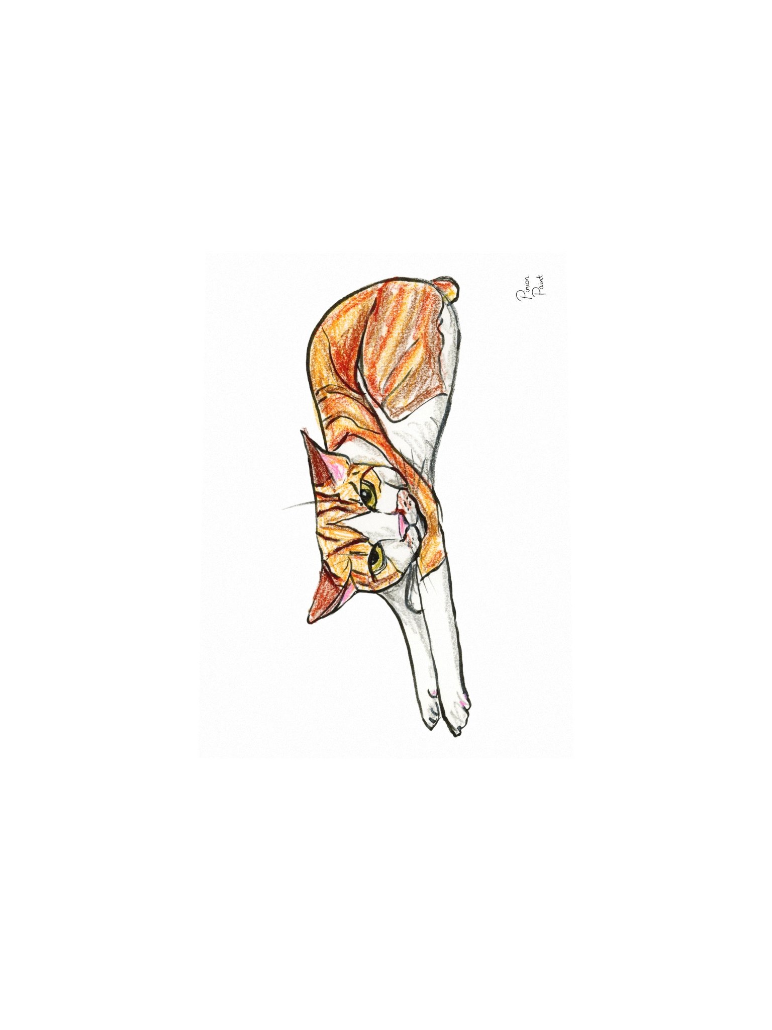 Sproot three product image (8)