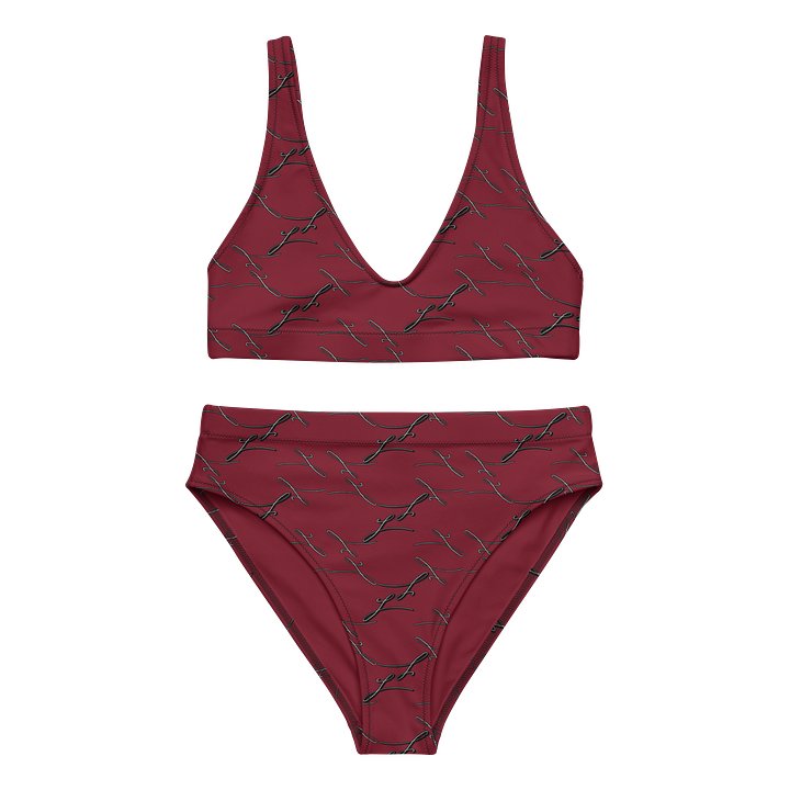 Toasted Merlot | High Waisted Bikini product image (2)