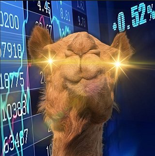 Camel