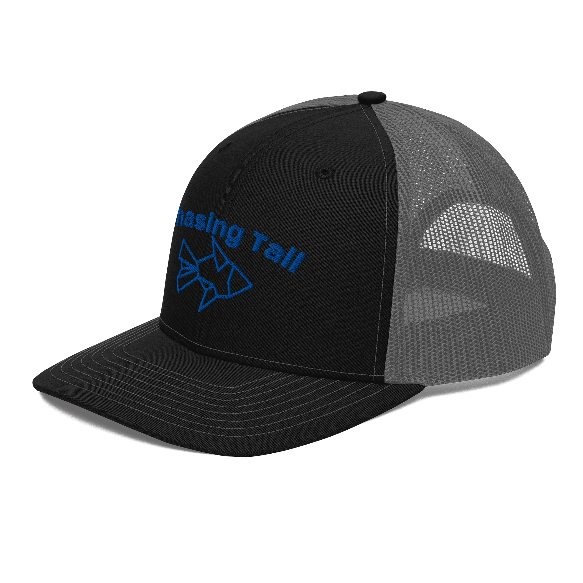 Chasing tail product image (2)