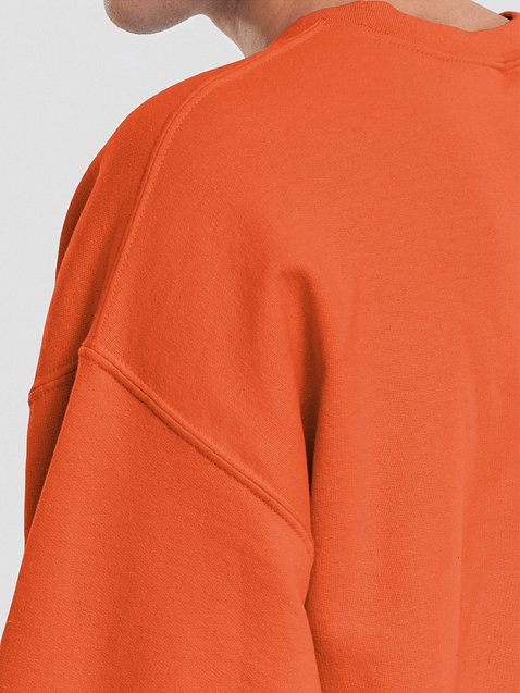 Photo showing Gildan Classic Crewneck Sweatshirt