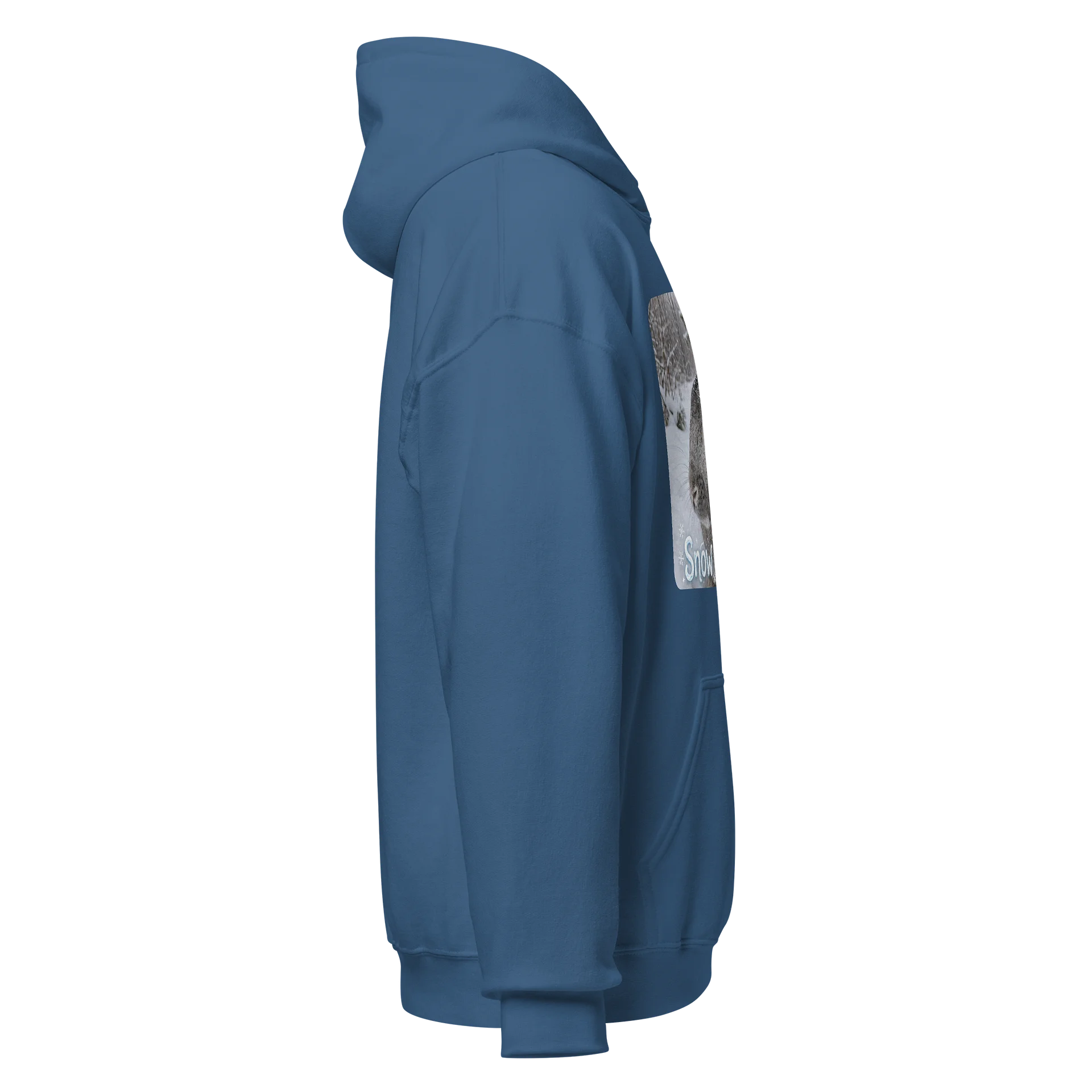 Snow Much Fun Rabbit Hoodie product image (4)