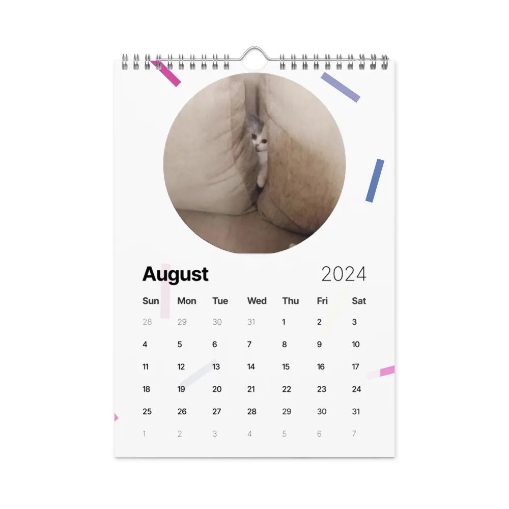Wall Calendar (2024): Meme Cats product image (4)