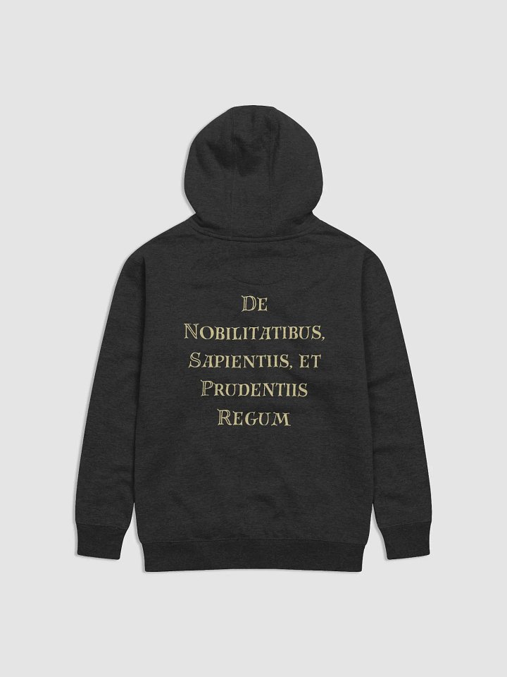 Echoes of Marginalia Hoodie Dark product image (4)
