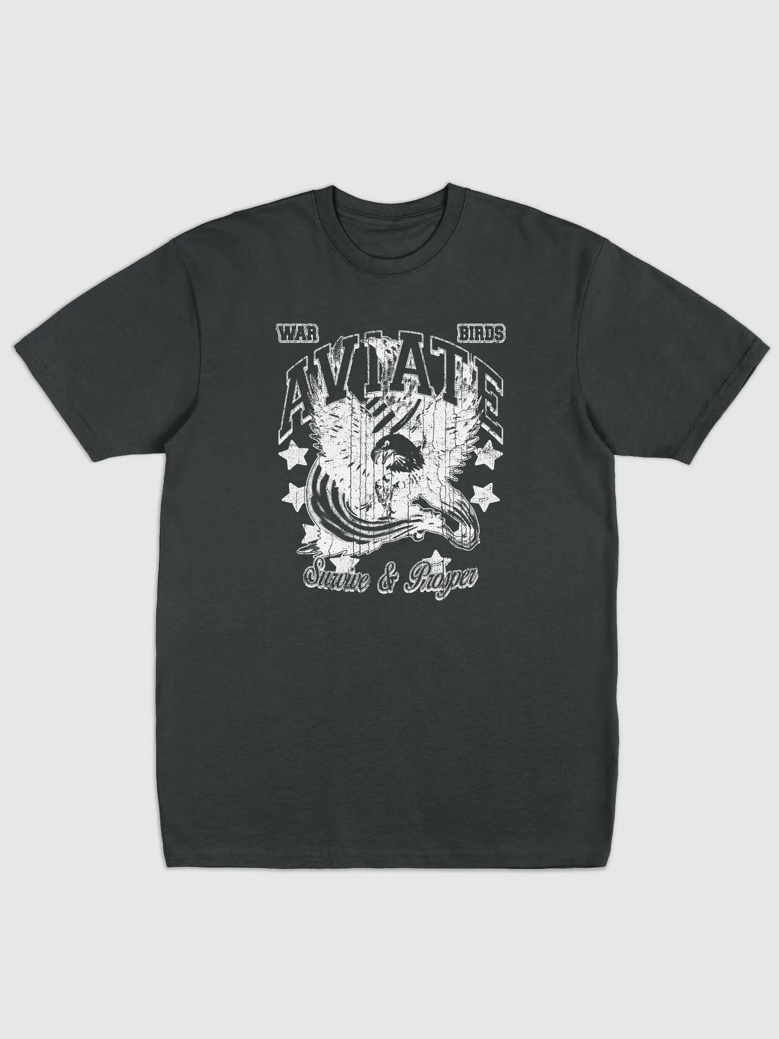 WAR BIRDS B&W product image (1)