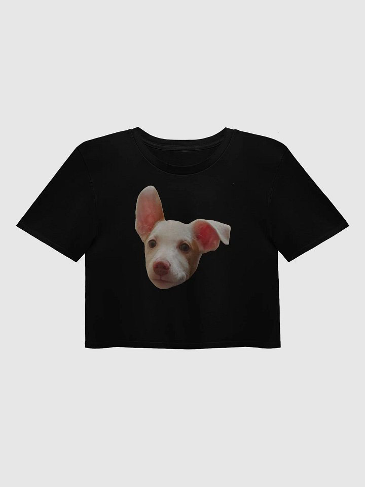 [ Ali3nSun ] Kratos crop top product image (1)