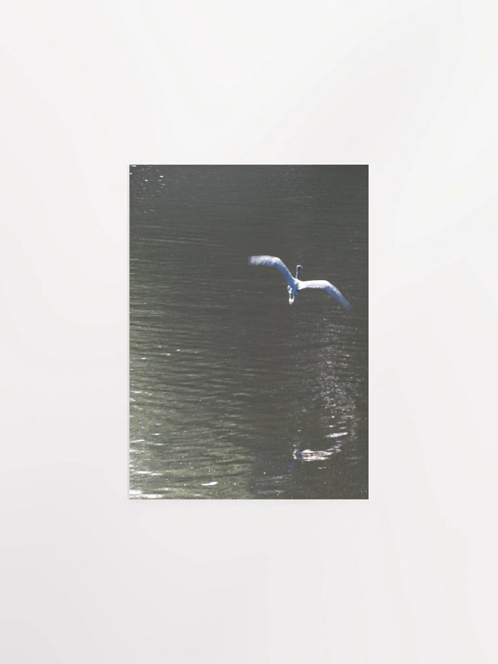 Flying Heron product image (2)