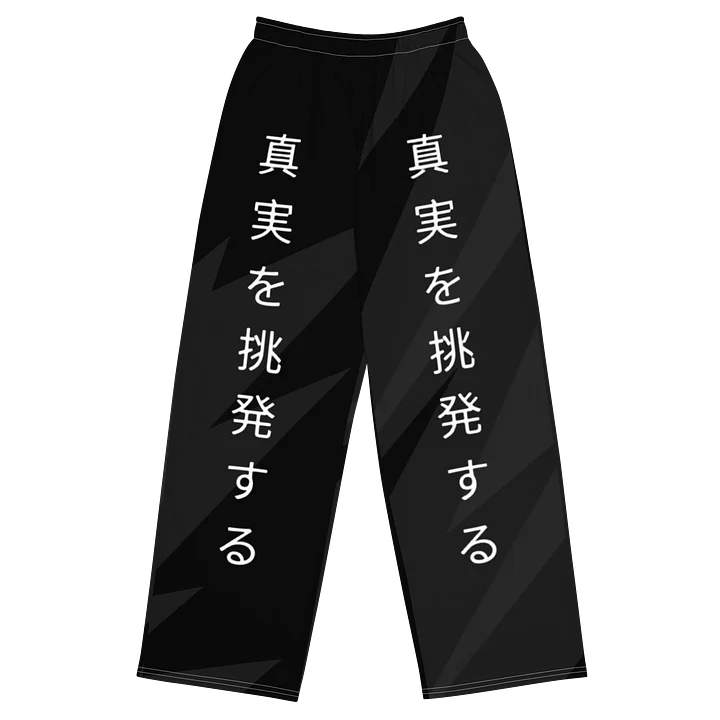 PTT Japanese Wide Leg Pants product image (1)