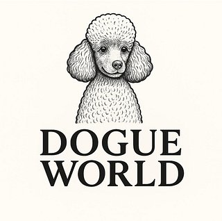 Dogue World Shop