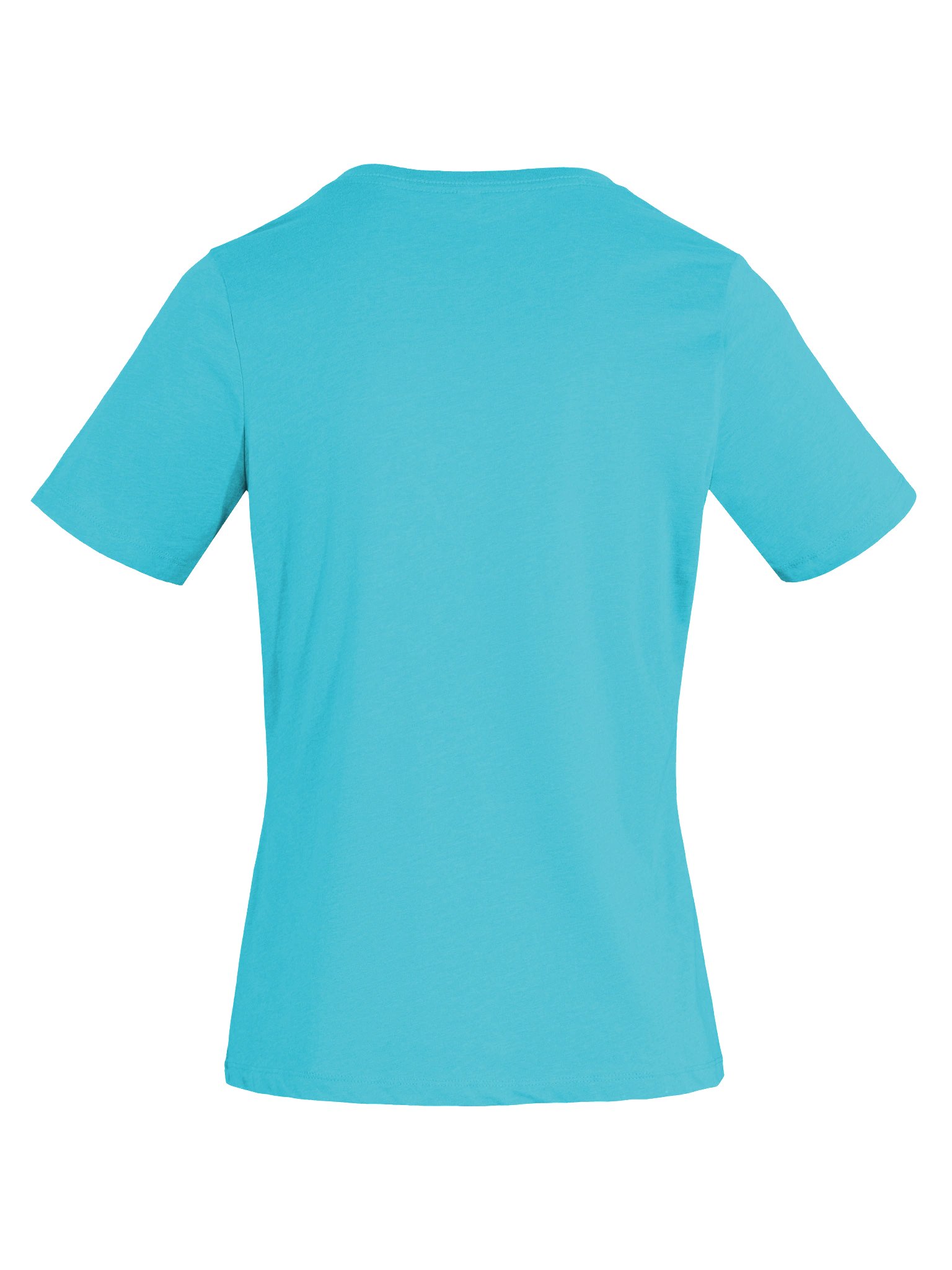 (V-Neck) You Know What That Means! product image (7)