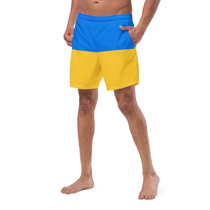 Sunshine Splash Swim Shorts product image (2)