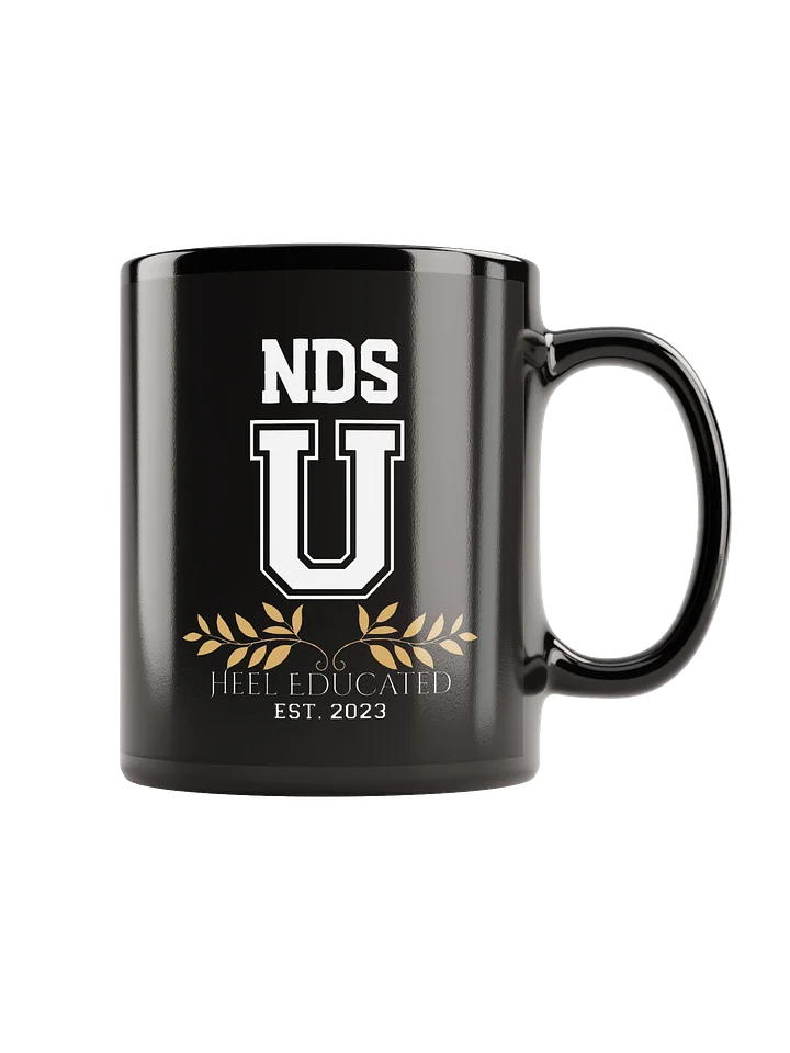 NDS University Double Sided Print Coffee Mug product image (1)