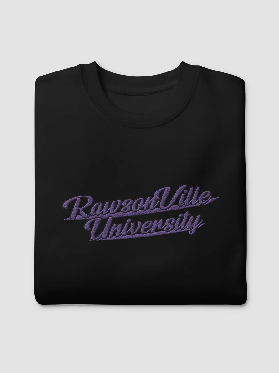 RVU: Embroidered Sweatshirt product image (4)