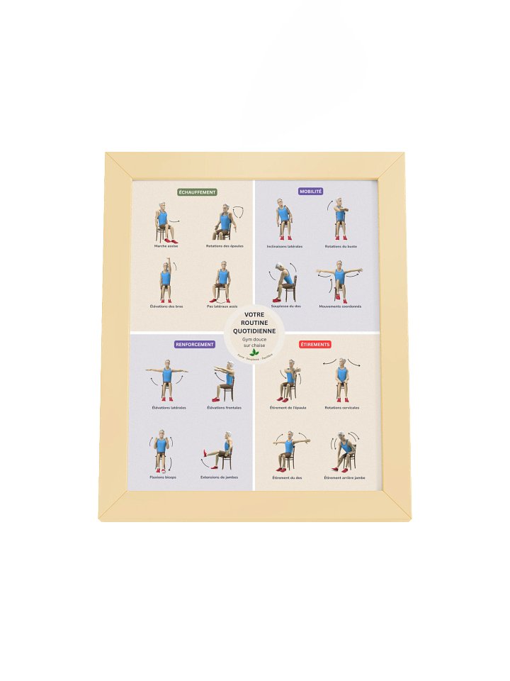 Cadre Gym douce sur chaise pour seniors couleurs product image (1)