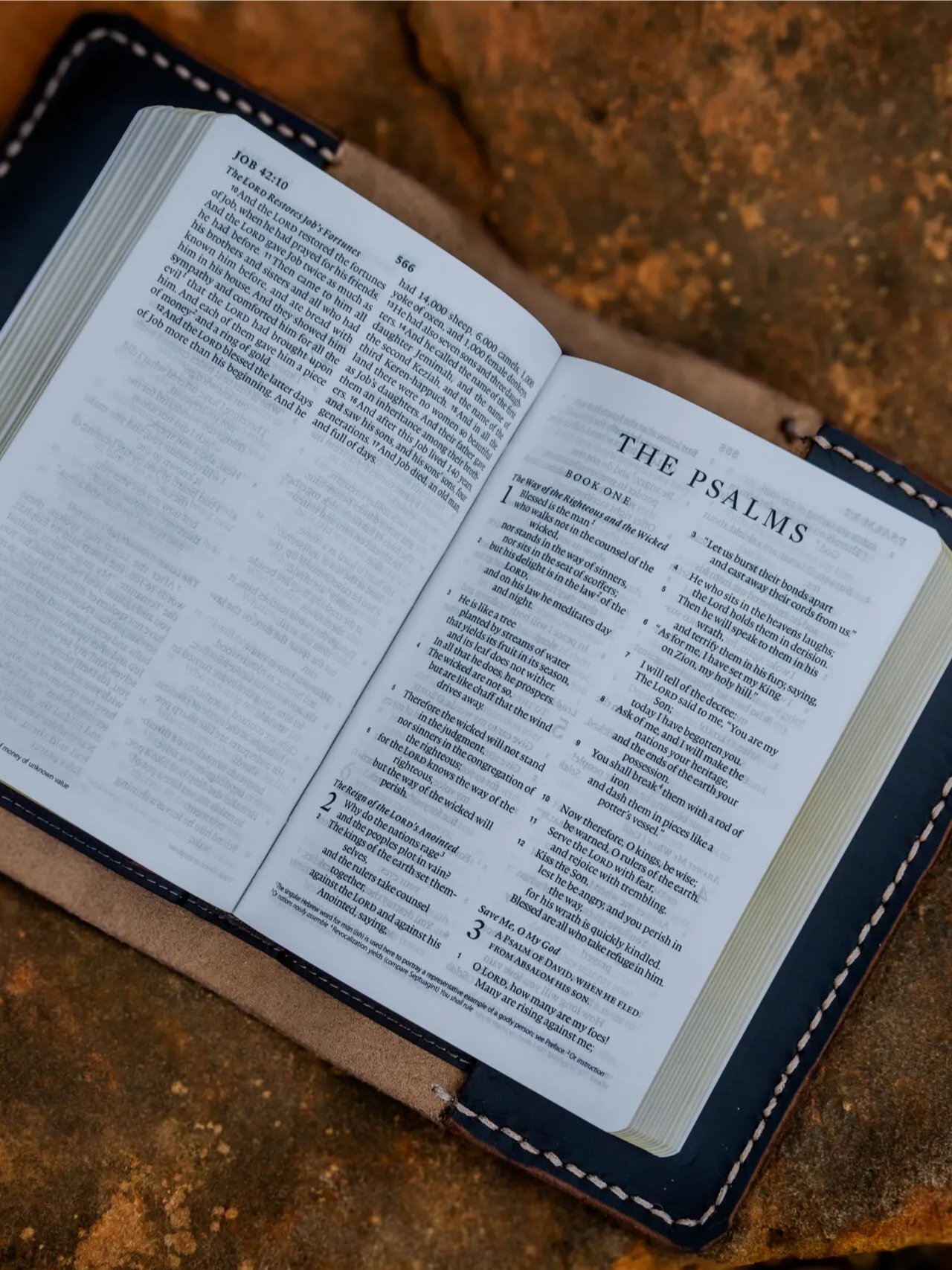 Worn Bible product image (5)