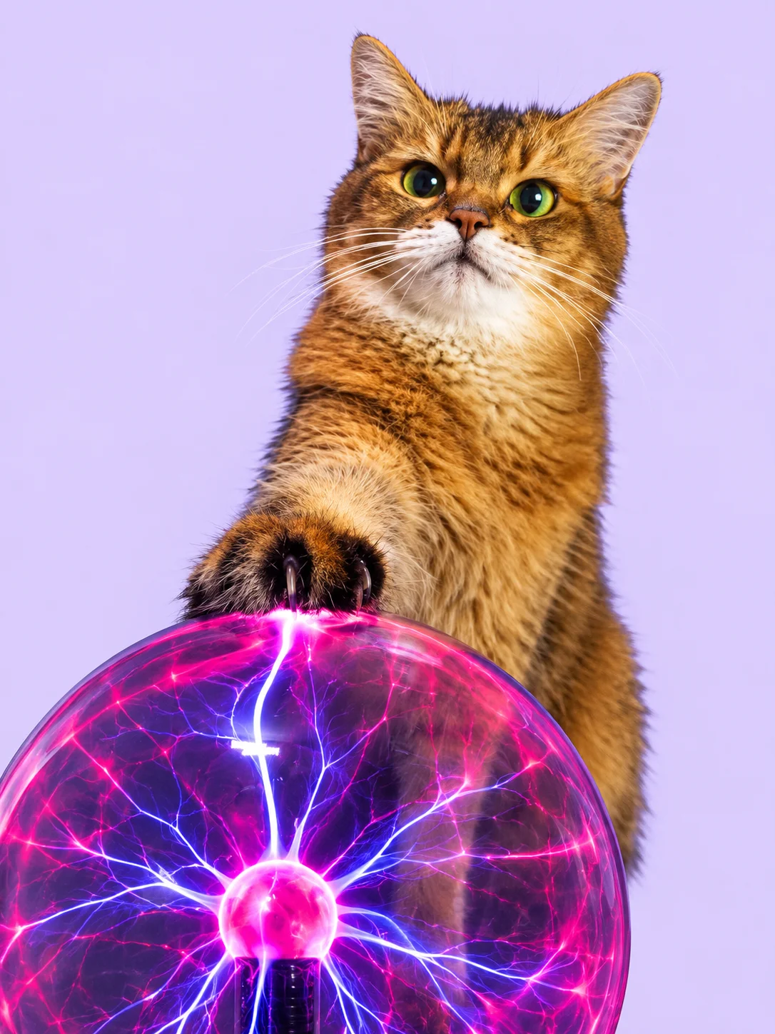 Plasma Balls product image (1)