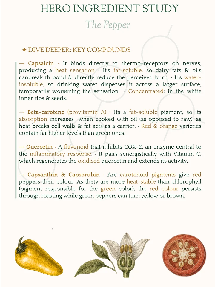 Tonic Kitchen Digital Zine: Issue 01, The Pepper (digital download) product image (2)