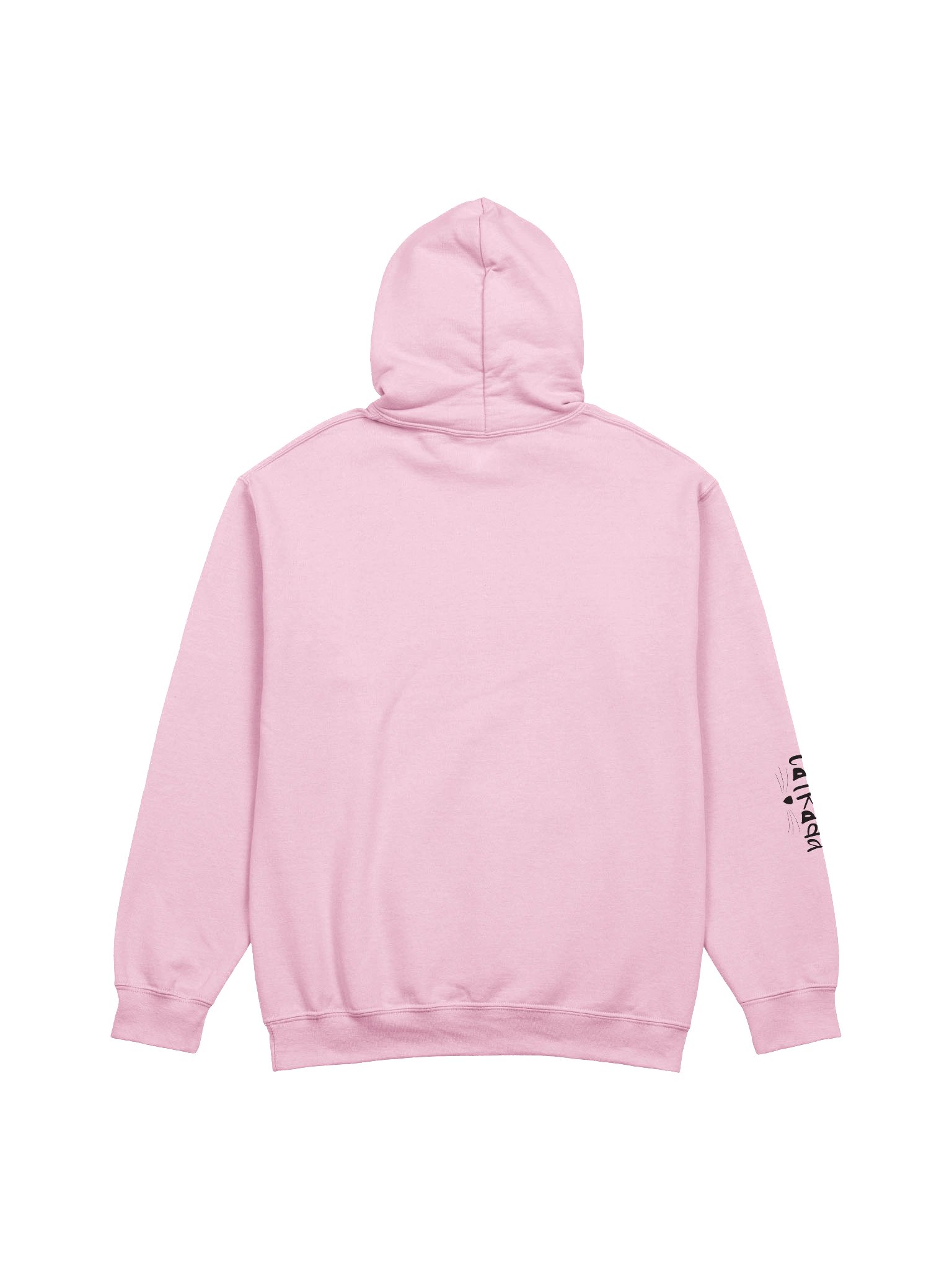 I'M A CAT HOODIE product image (2)