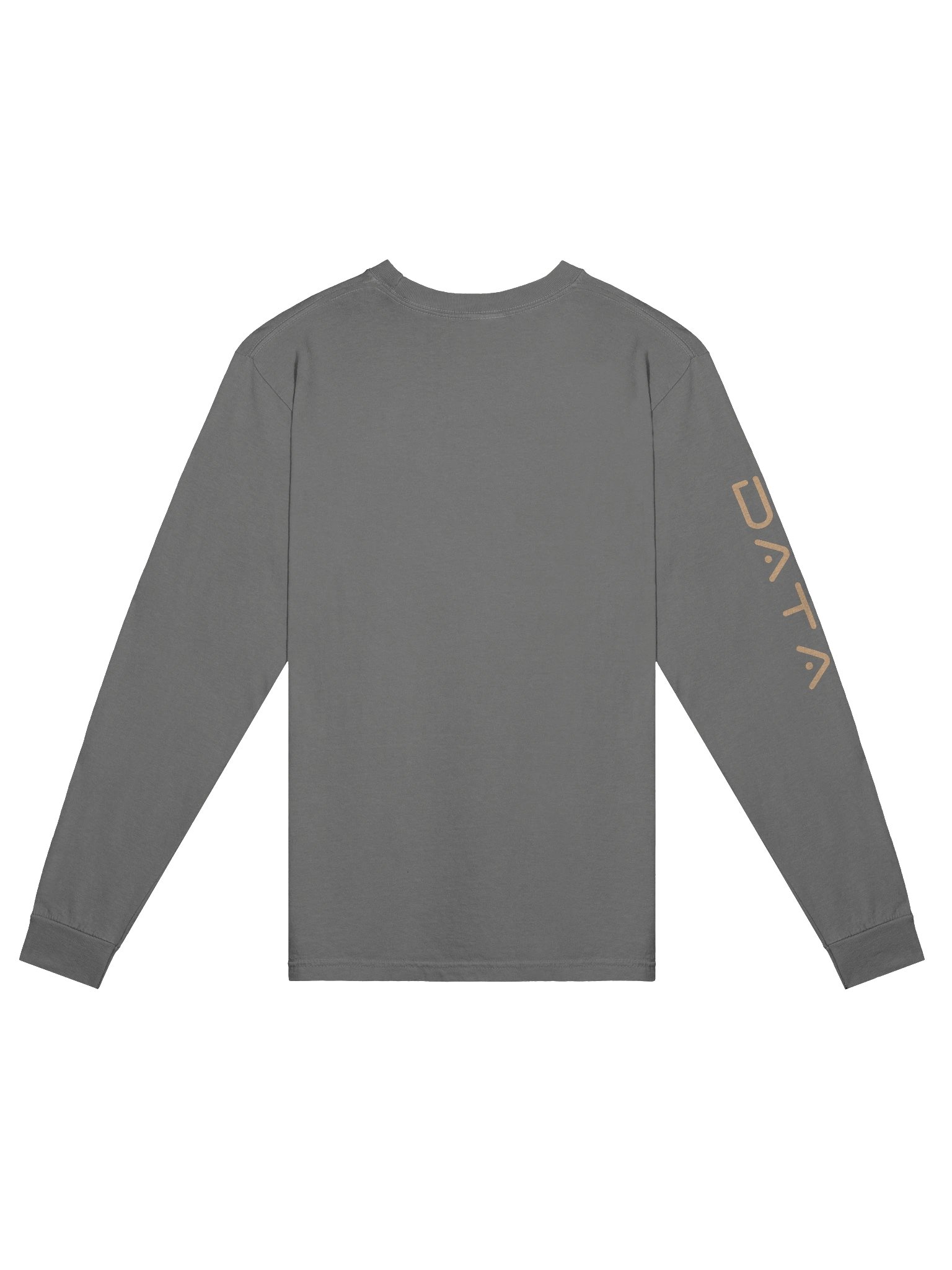Longsleeve | STFC Data Logo product image (2)