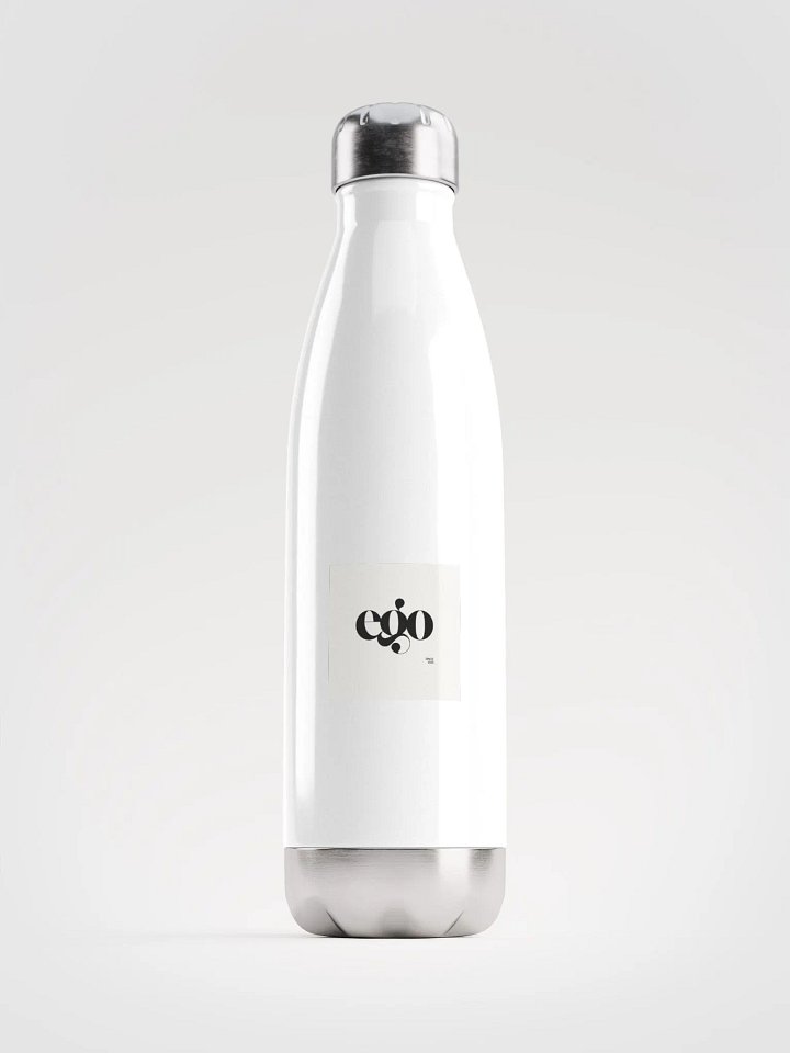 stainless steel water bottle product image (1)