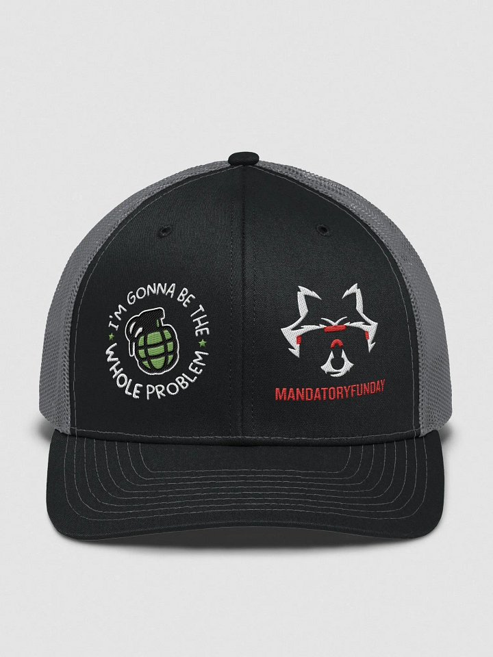The Whole Problem Hat product image (1)