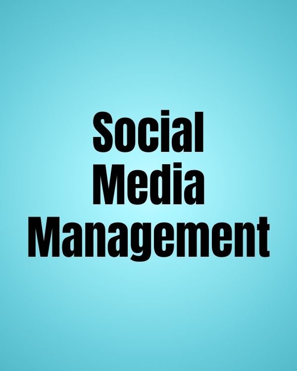 Social Media Management (Monthly) product image (1)