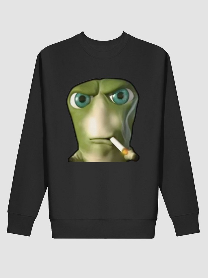 TA Premium Sweatshirt product image (2)