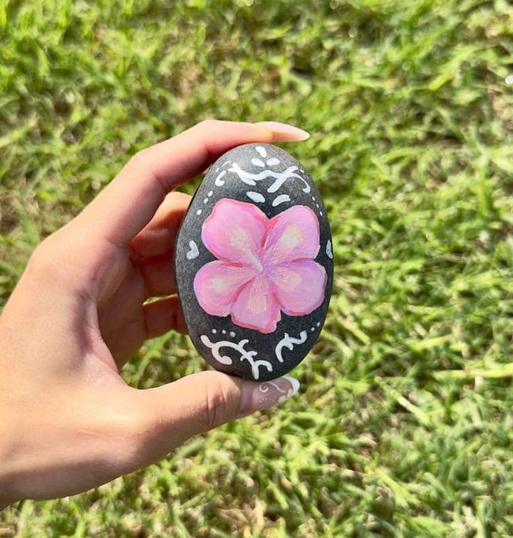 Pet Rock - Hibiscus product image (1)