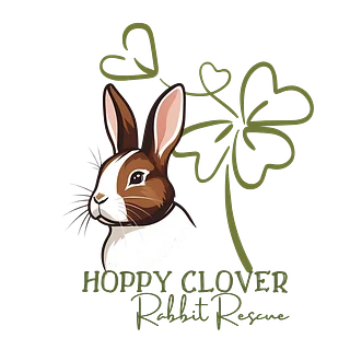 The Hoppy Clover Club