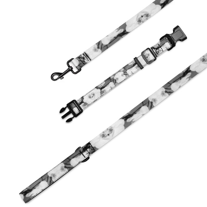 BEAST LEASH SET - Orchid 2 product image (1)