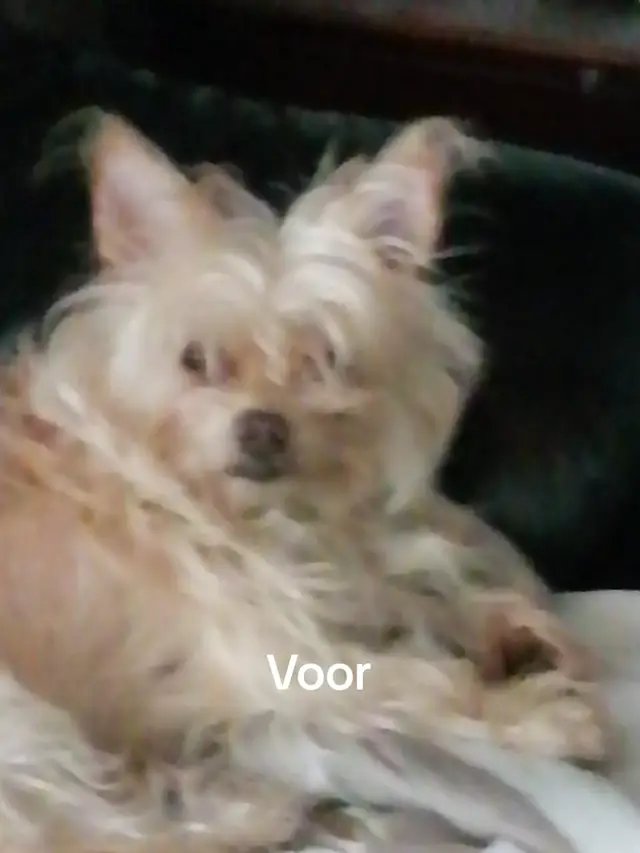 Sofieke is naar de kapper geweest en was super flink 