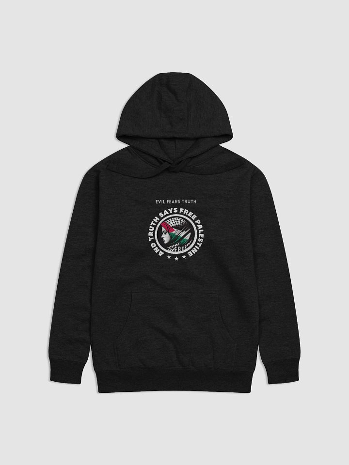 Free Palestine Unisex Hoodie | Evil fears truth, and truth says: Free Palestine. product image (3)