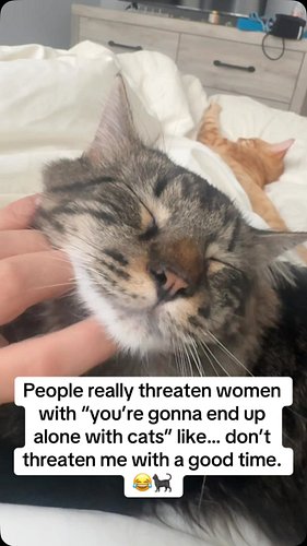 Sounds like peace to me 💅#single #cats #healing #toxic #relationships