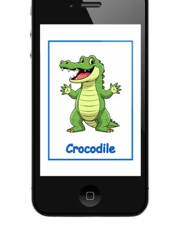 Digital Flashcards Bundle product image (5)