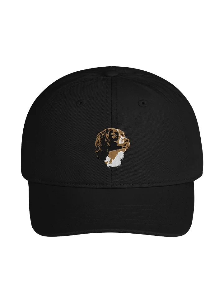 Springer Dad Cap product image (3)