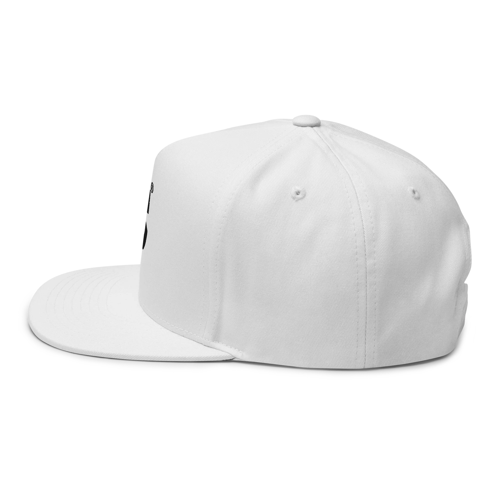 OC Core Flat Snapback Cap (Black Logo) product image (10)