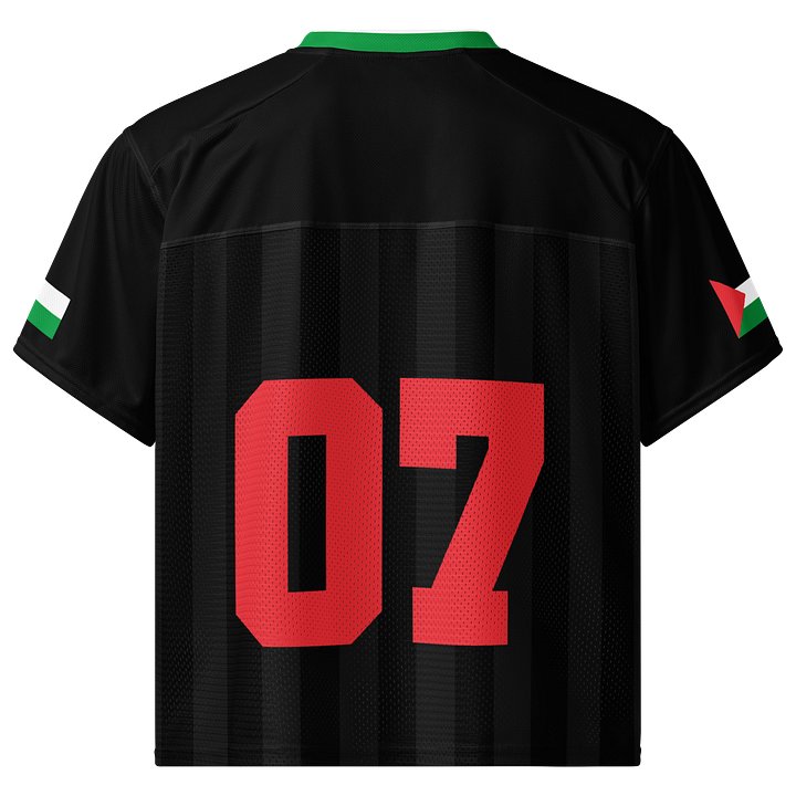 Palestine Boxy Sports Tee product image (2)