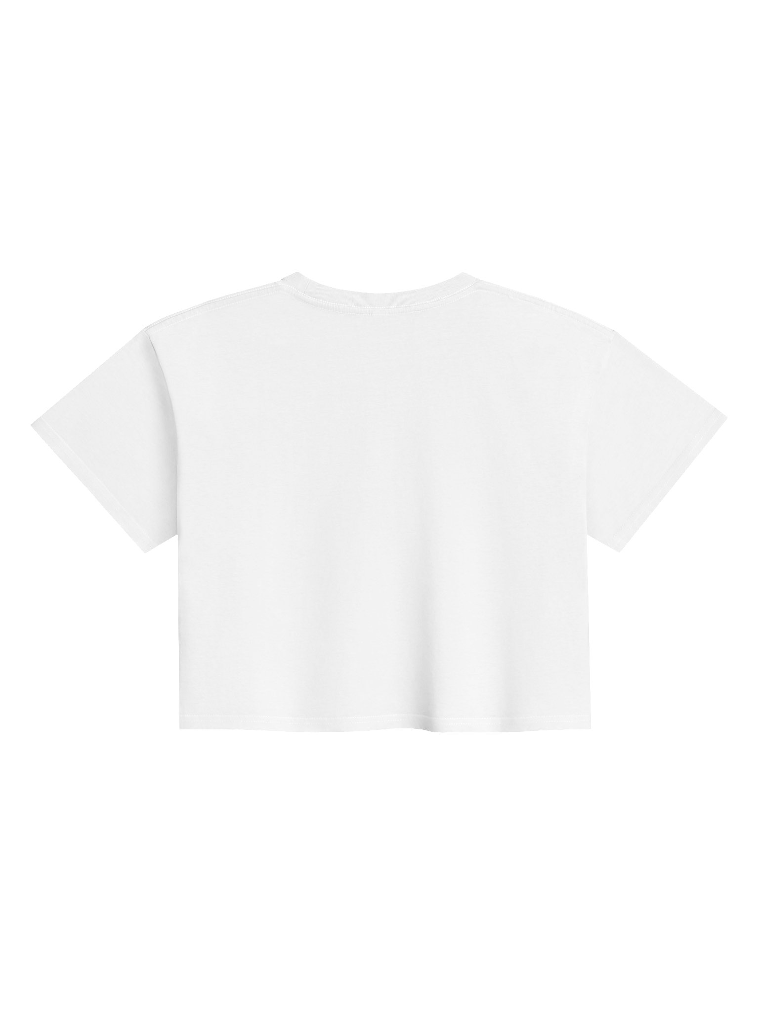 250 Flag-Patch Crop Top — AS Colour x WISCO THREAD CO product image (2)