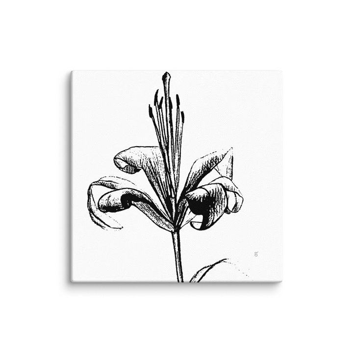 Lily Line Art Canvas Print - Fine Flower Light product image (1)
