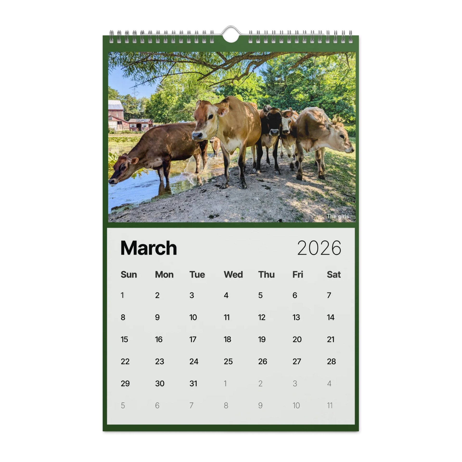 Muddy Toes Farm 2026 Country Life Calendar product image (9)