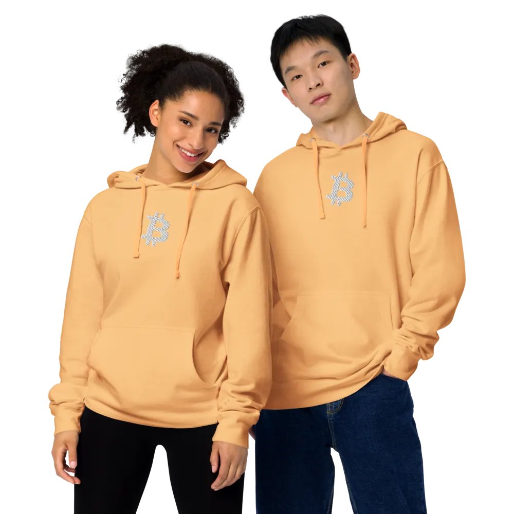 Embroidered ₿itcoin Orange-Peach Hoody product image (1)